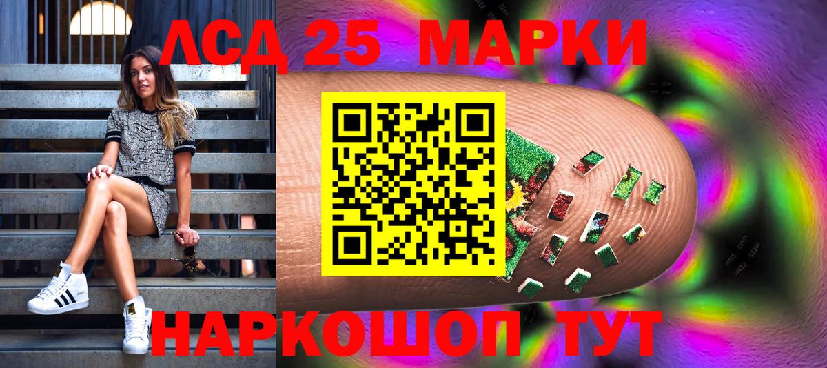 A PVP Великий Устюг